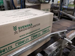 låda Svenska Skogsplantor
